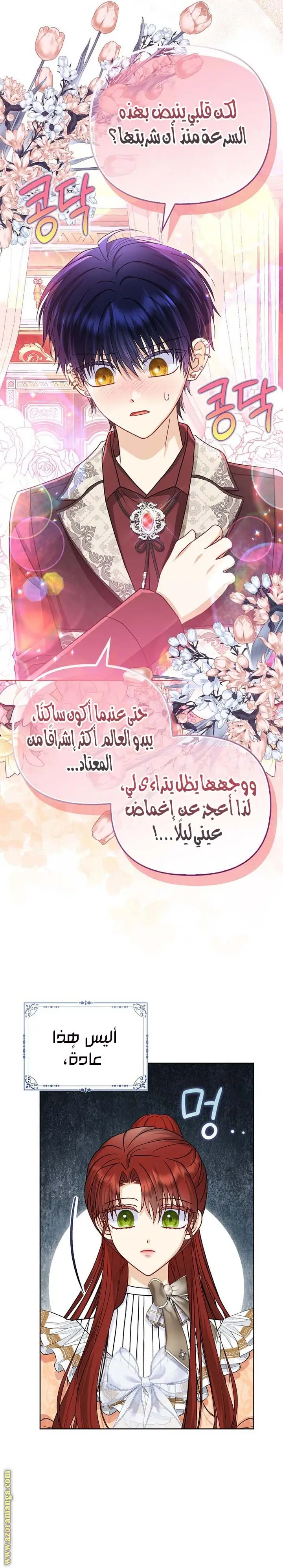 الصفحة 3