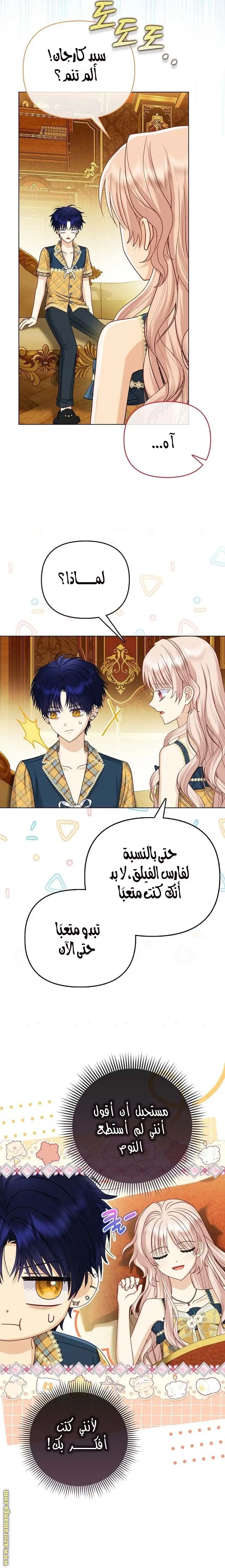 الصفحة 11