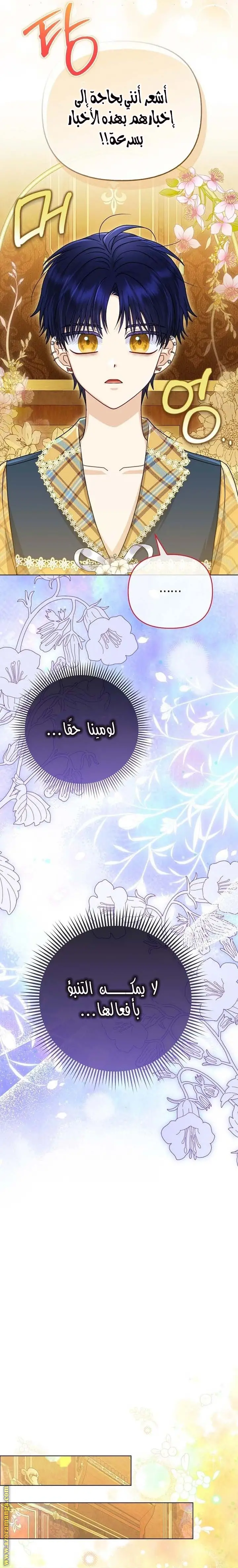 الصفحة 14