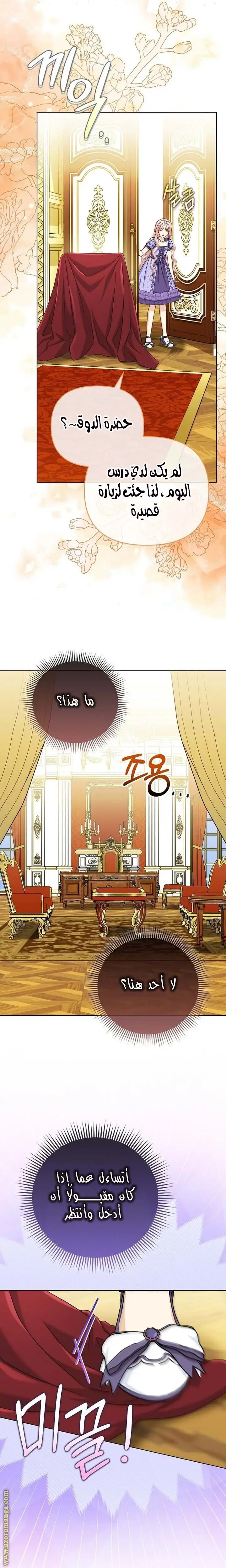 الصفحة 17