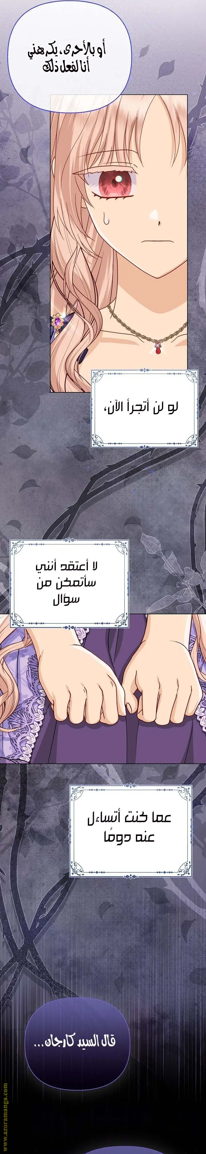 الصفحة 26
