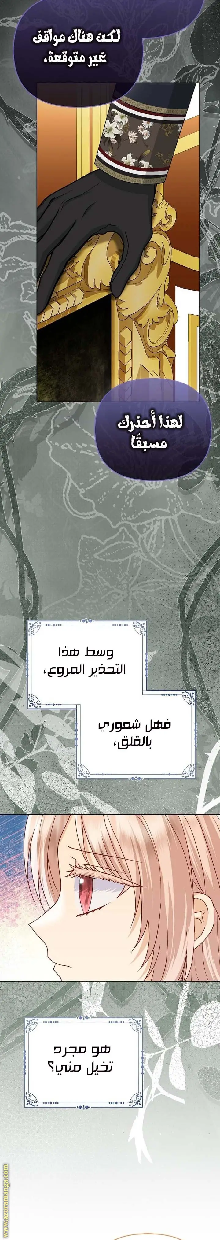 الصفحة 17