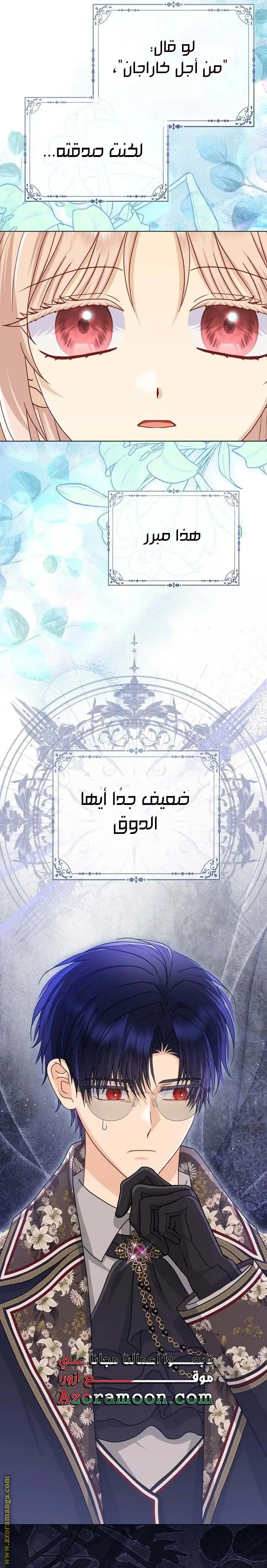 الصفحة 19