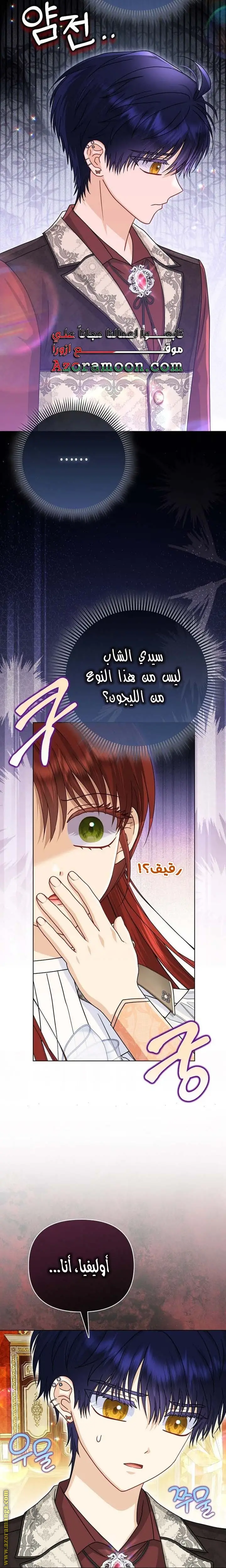الصفحة 29