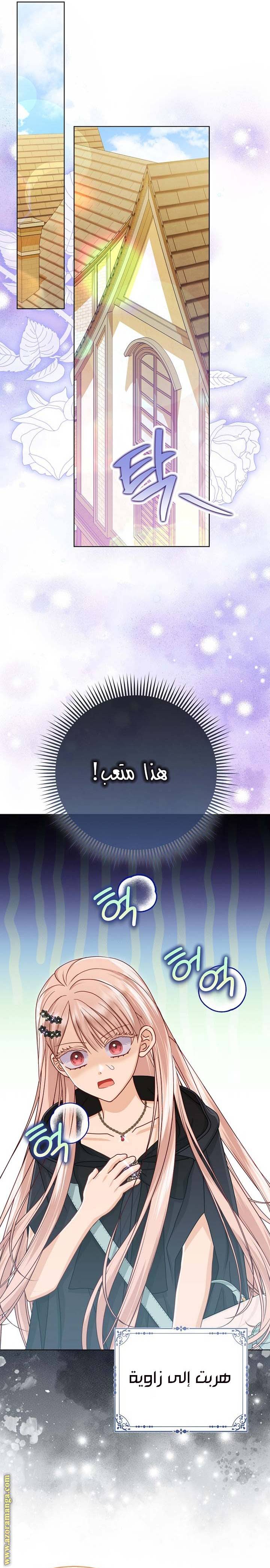 الصفحة 14