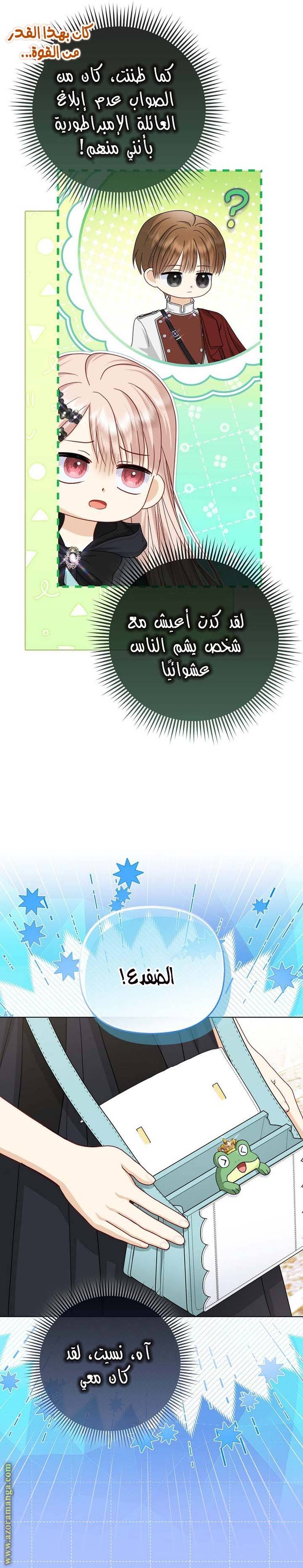 الصفحة 20