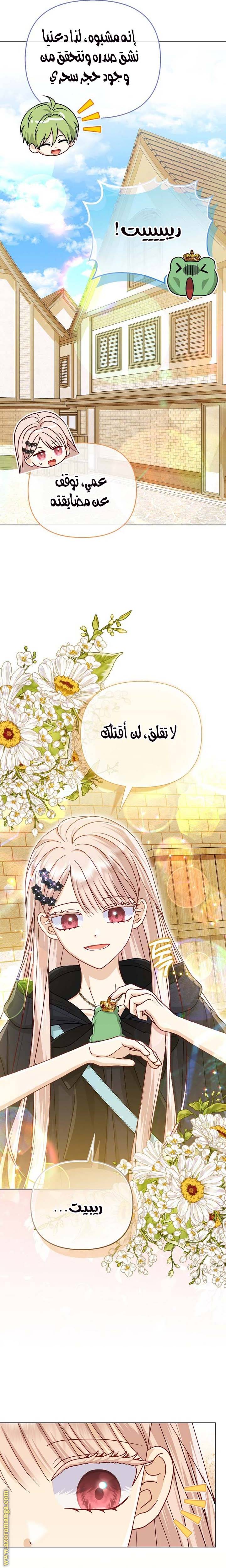 الصفحة 22