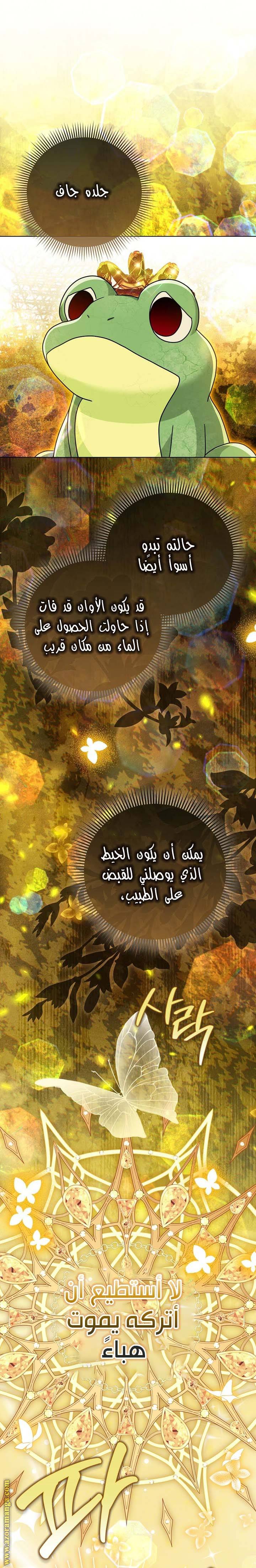 الصفحة 23