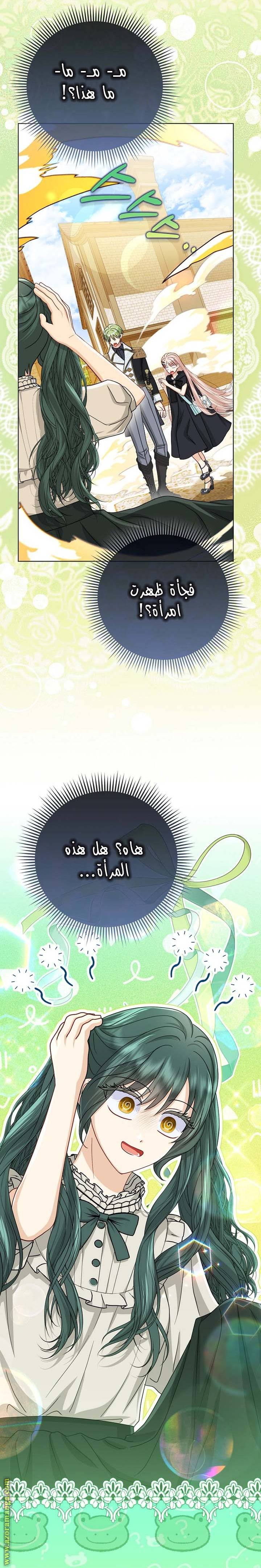 الصفحة 27