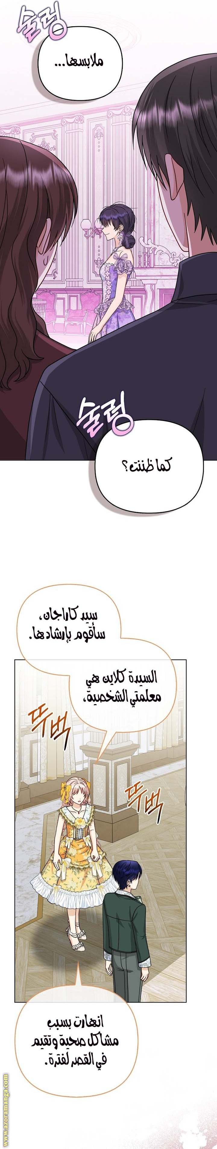 الصفحة 17