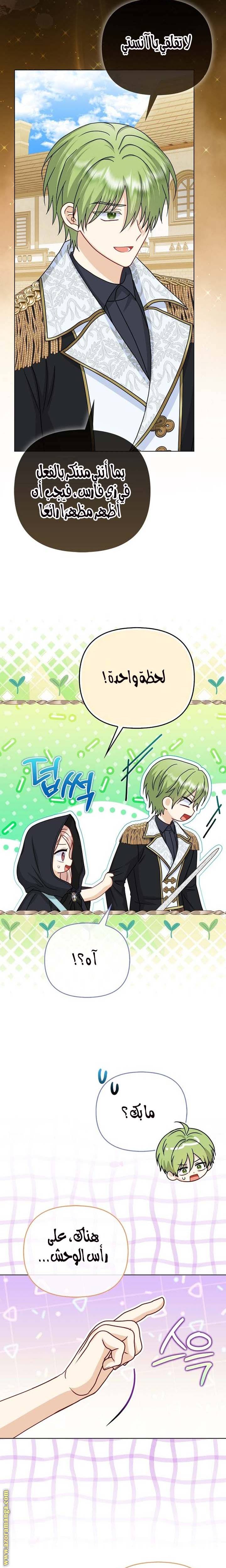 الصفحة 17