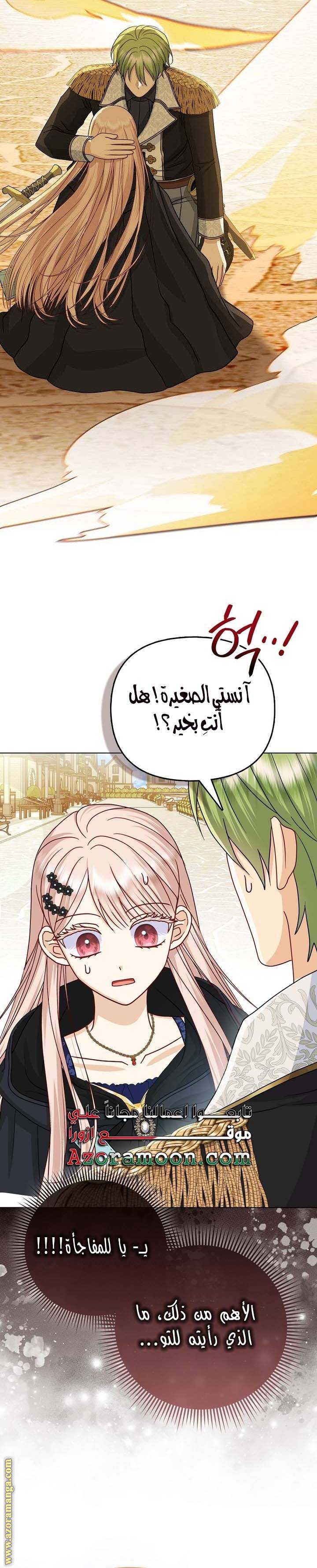 الصفحة 19