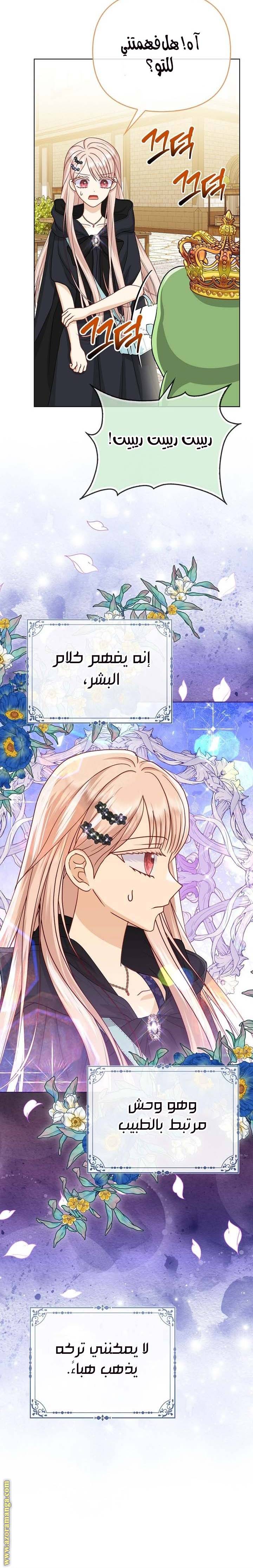 الصفحة 24