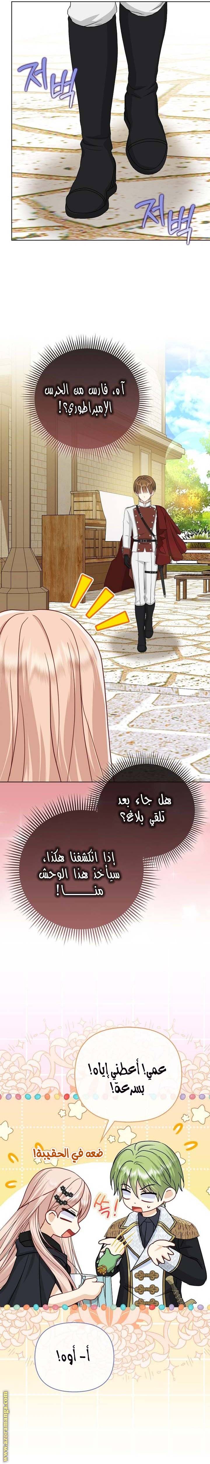 الصفحة 25