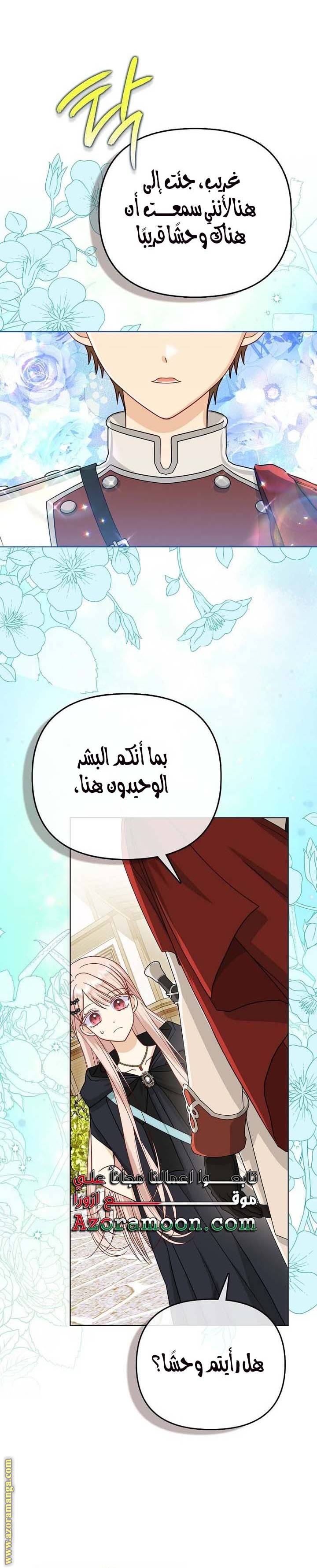 الصفحة 26