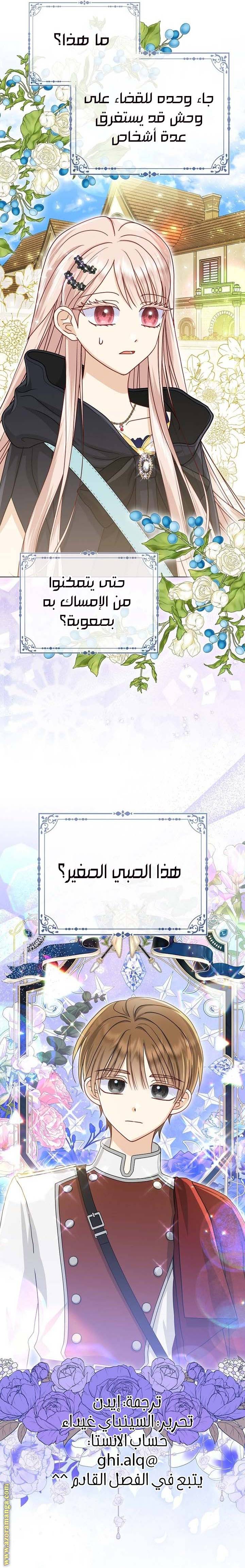 الصفحة 27