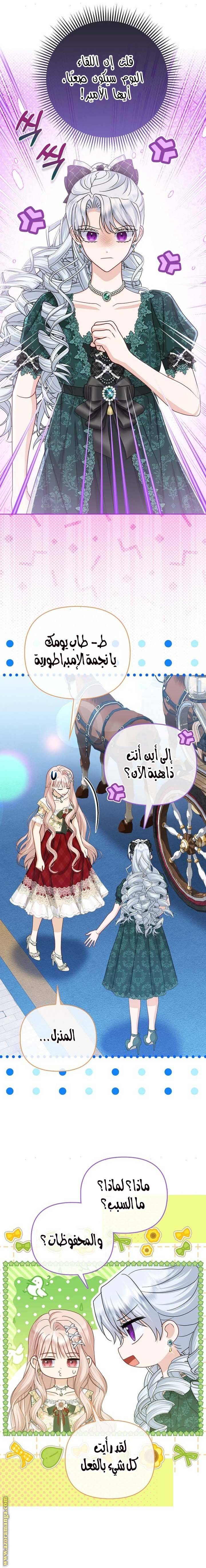 الصفحة 11