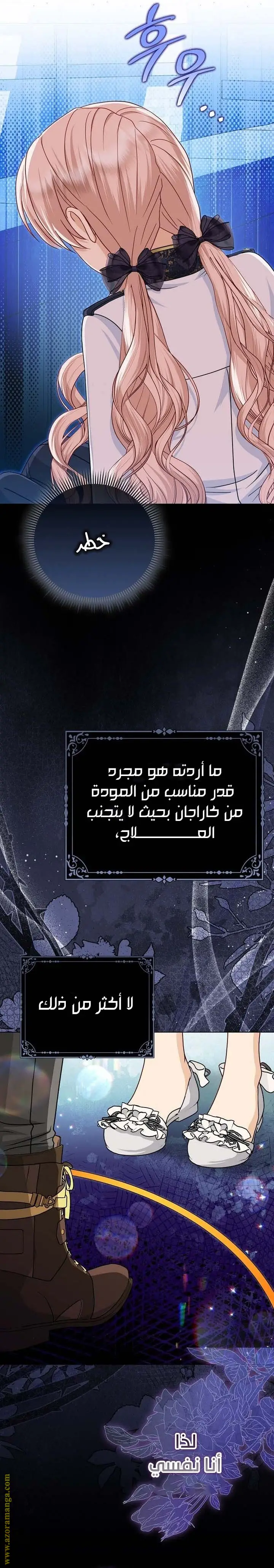 الصفحة 13
