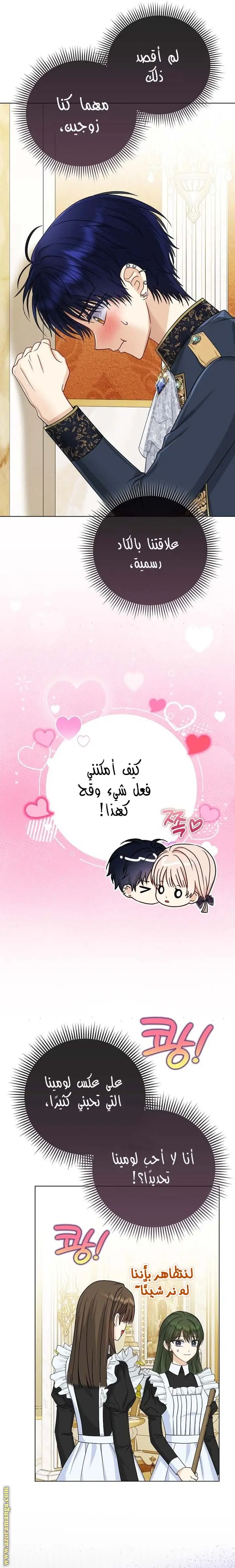 الصفحة 17