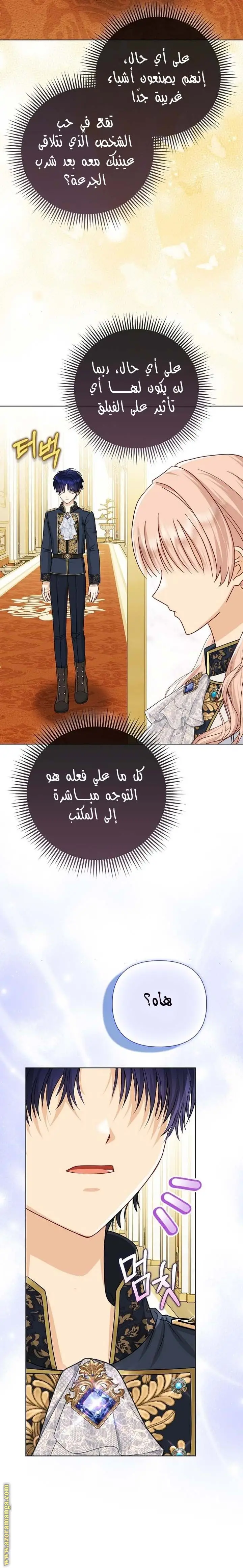 الصفحة 23