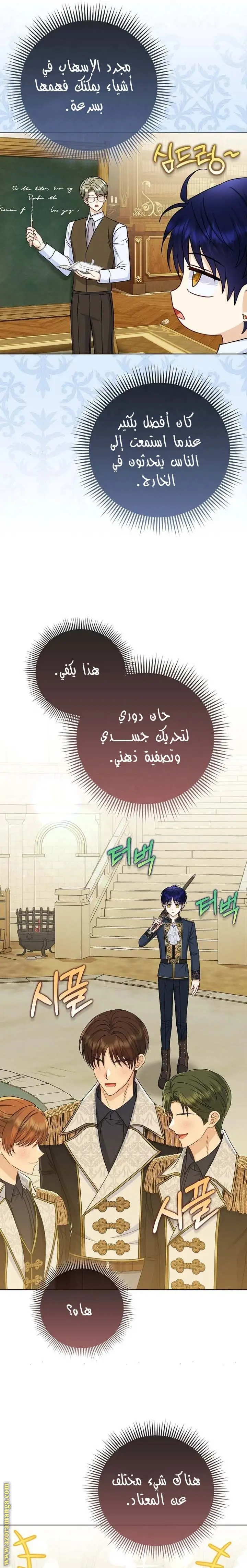 الصفحة 17