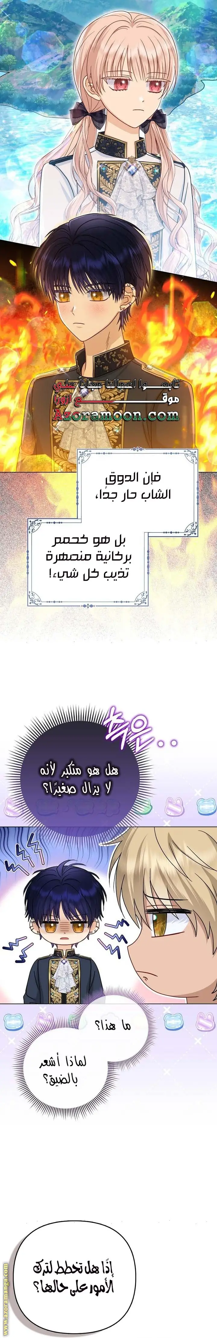 الصفحة 26