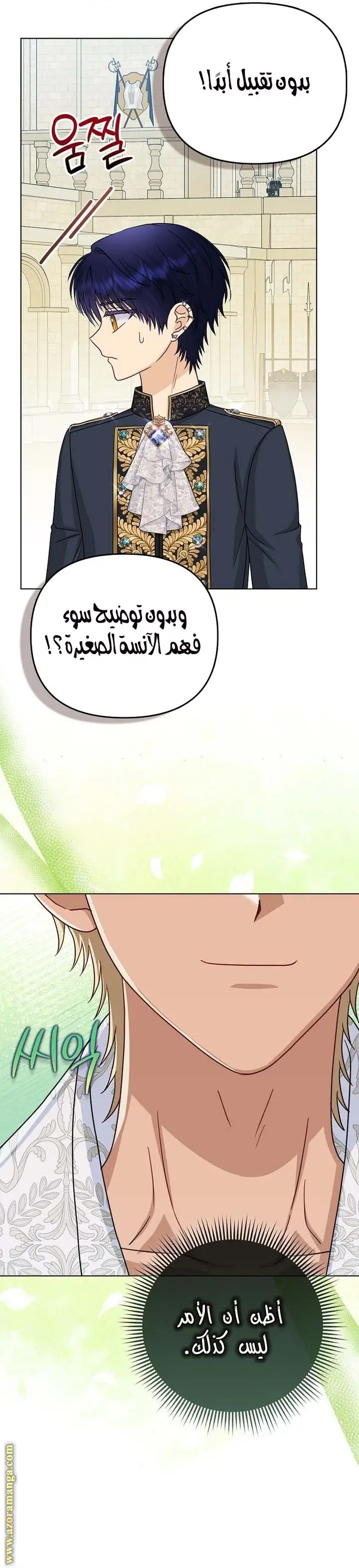 الصفحة 27