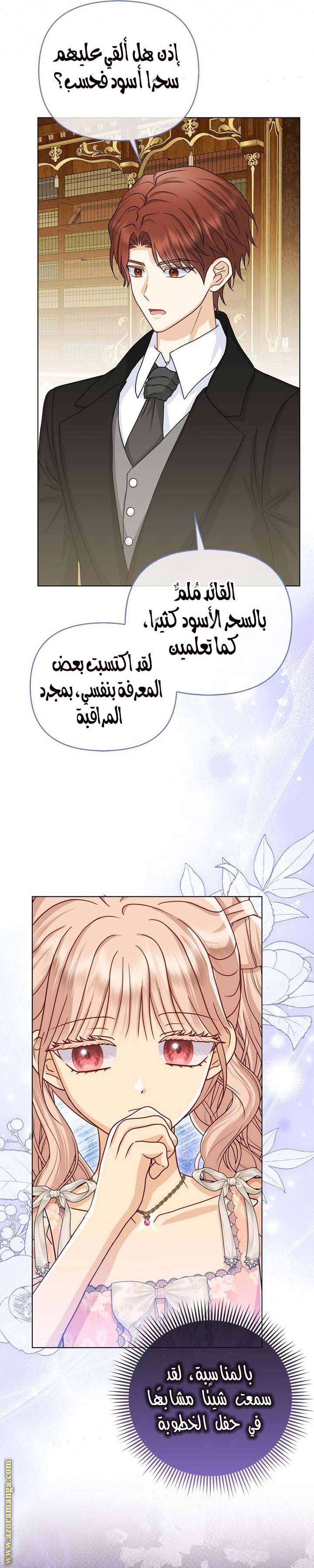 الصفحة 17