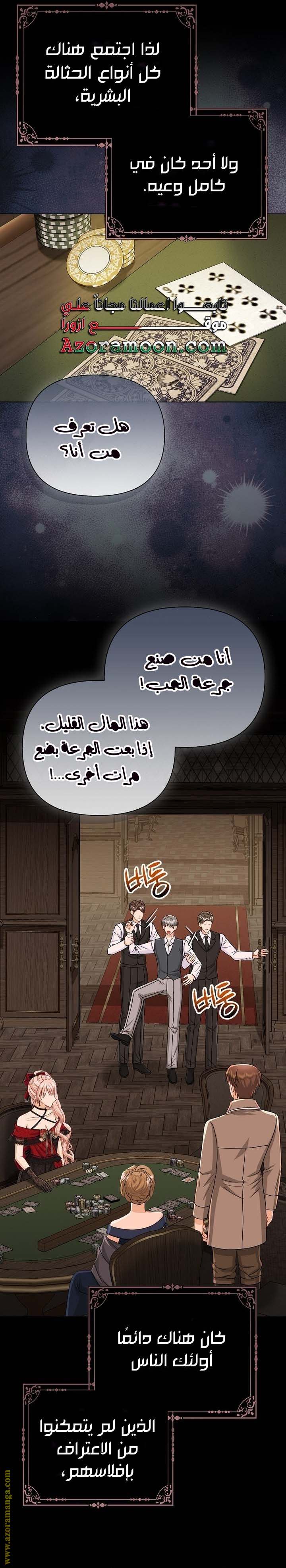 الصفحة 17