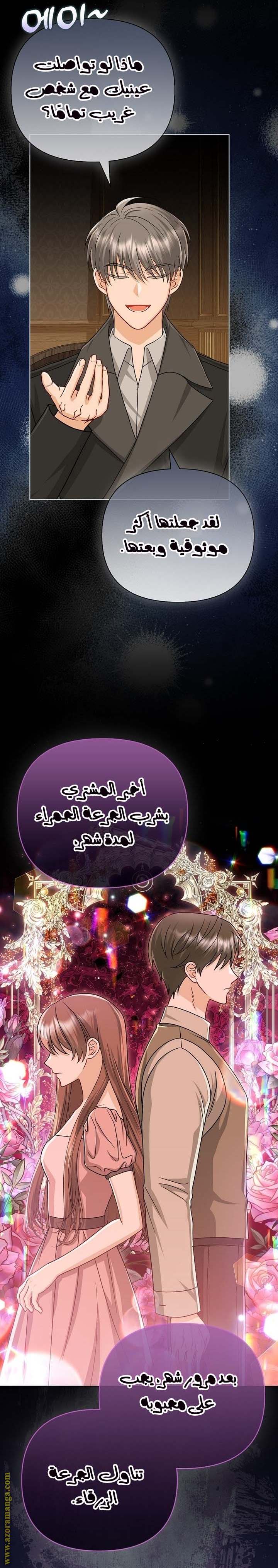 الصفحة 24