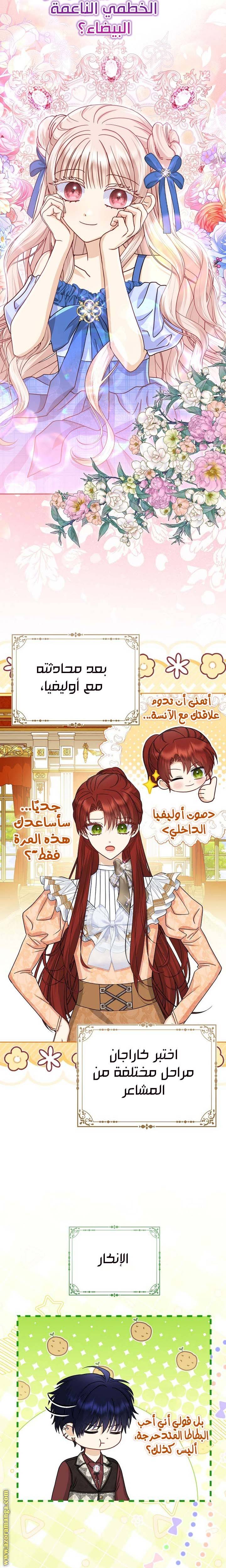الصفحة 12