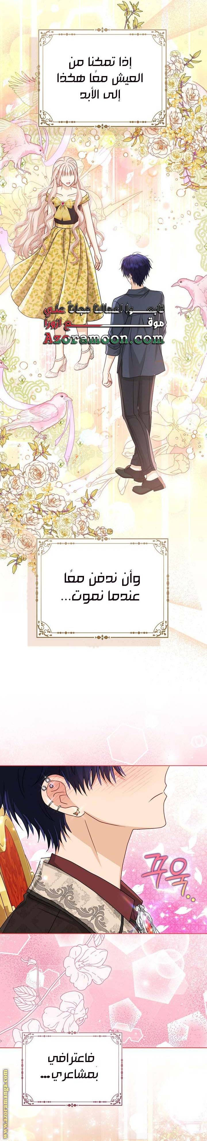 الصفحة 17