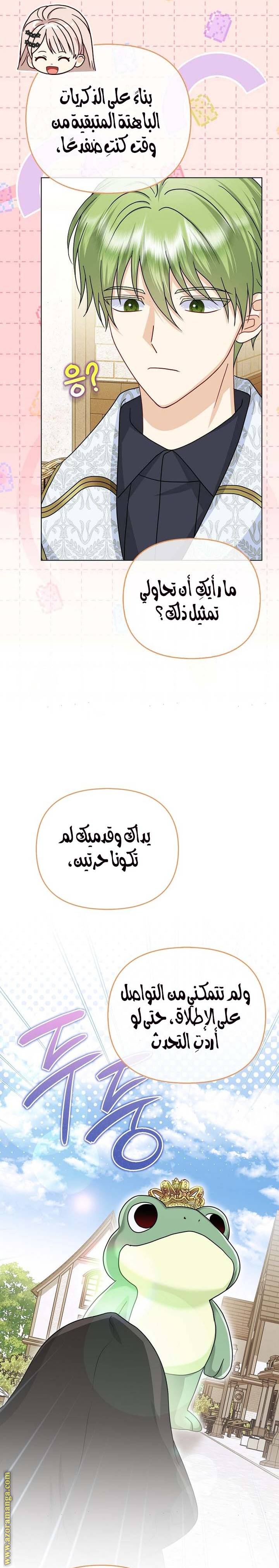 الصفحة 13