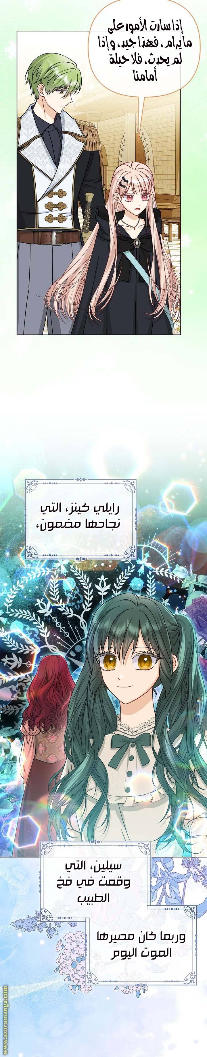 الصفحة 17