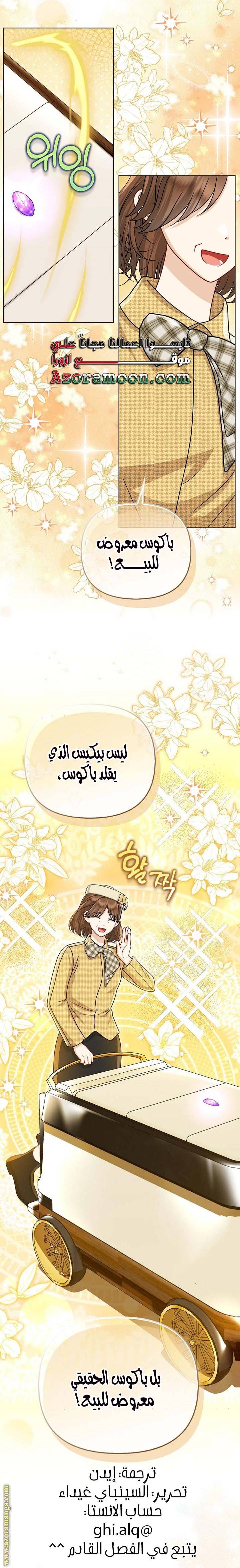 الصفحة 29