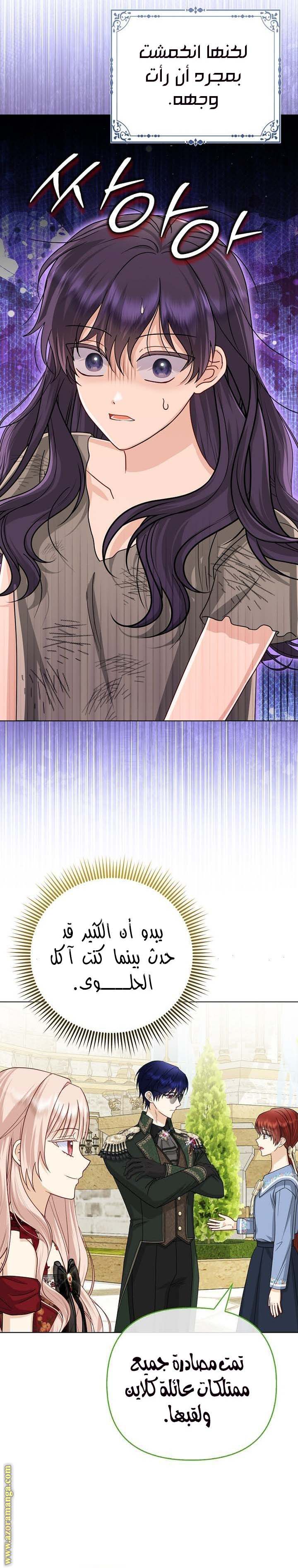 الصفحة 13