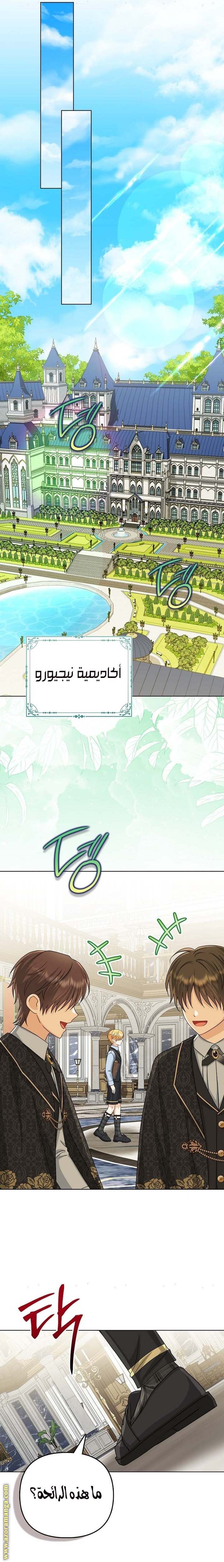 الصفحة 21