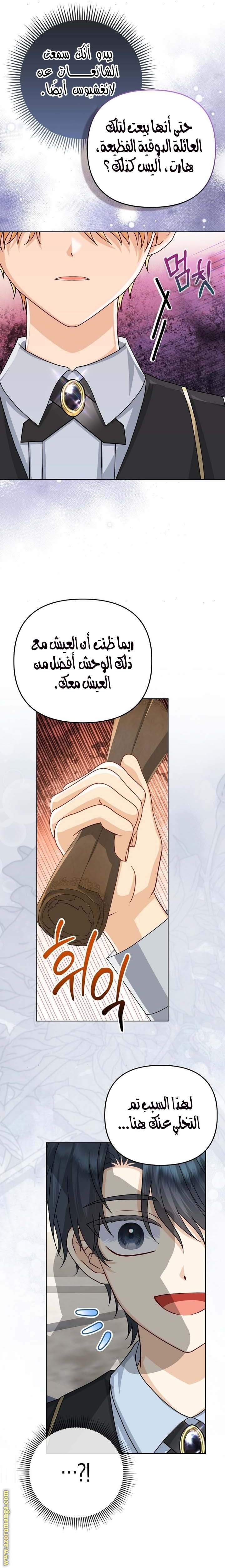 الصفحة 25
