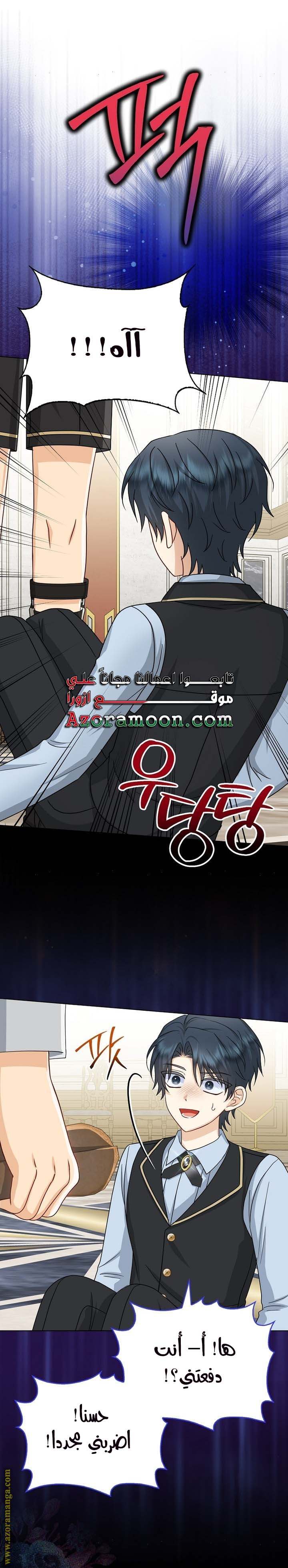 الصفحة 26