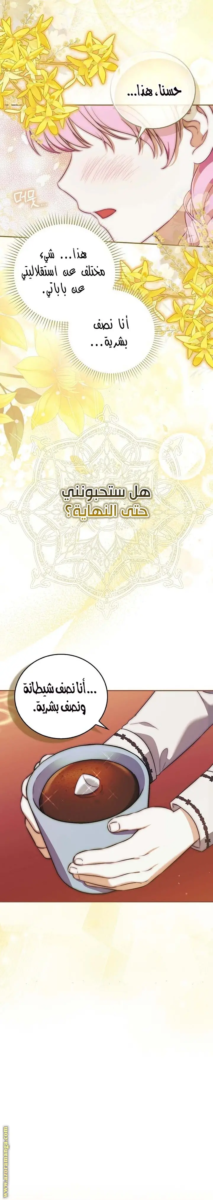 الصفحة 25