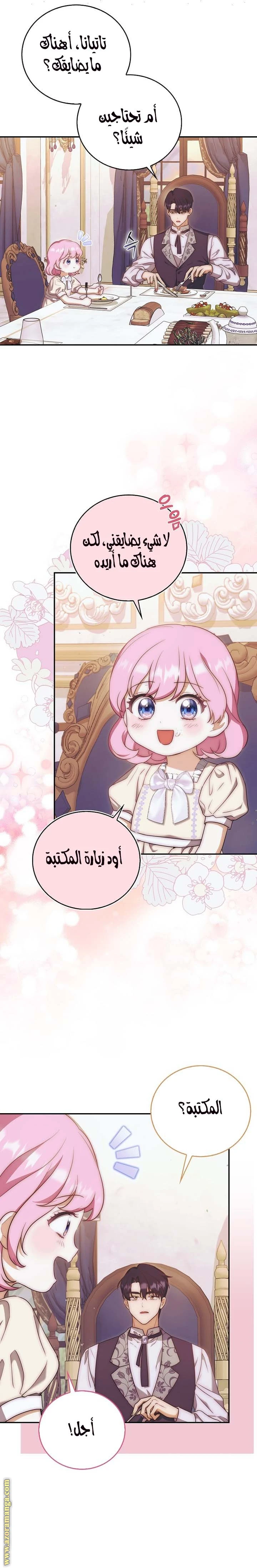 الصفحة 17