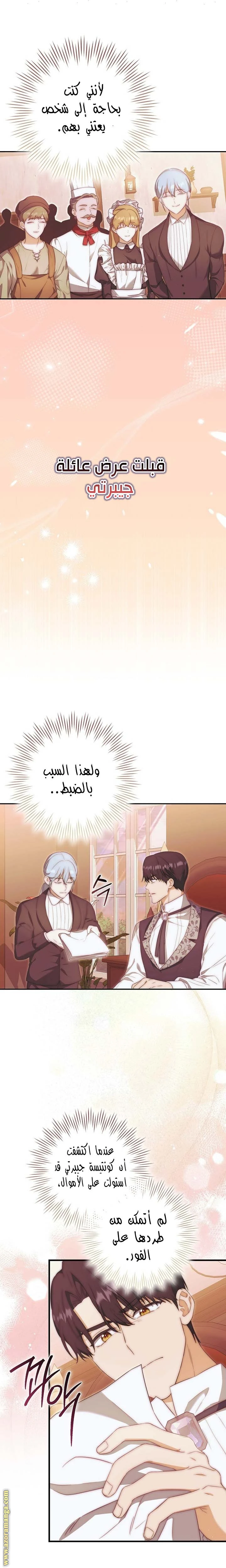 الصفحة 17