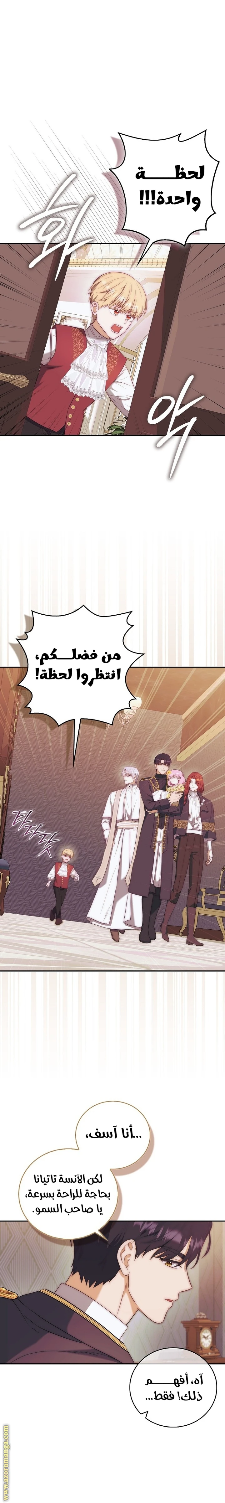 الصفحة 17
