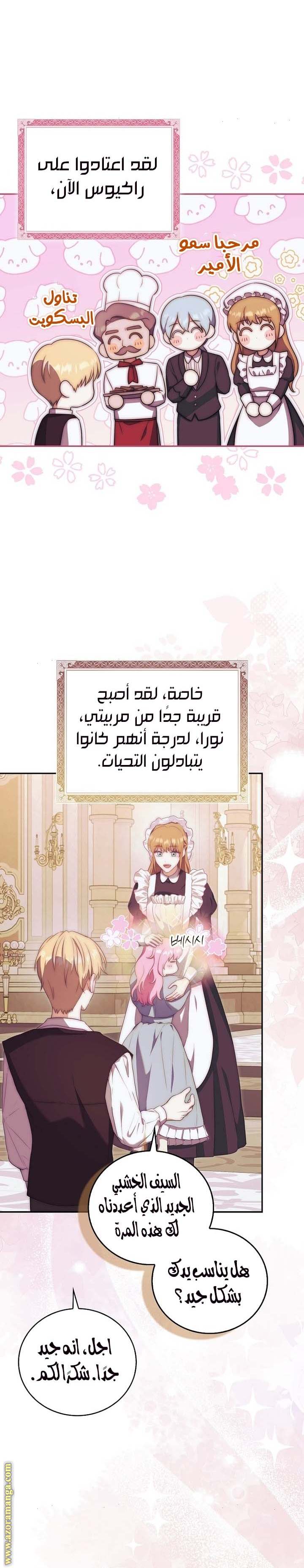 الصفحة 19