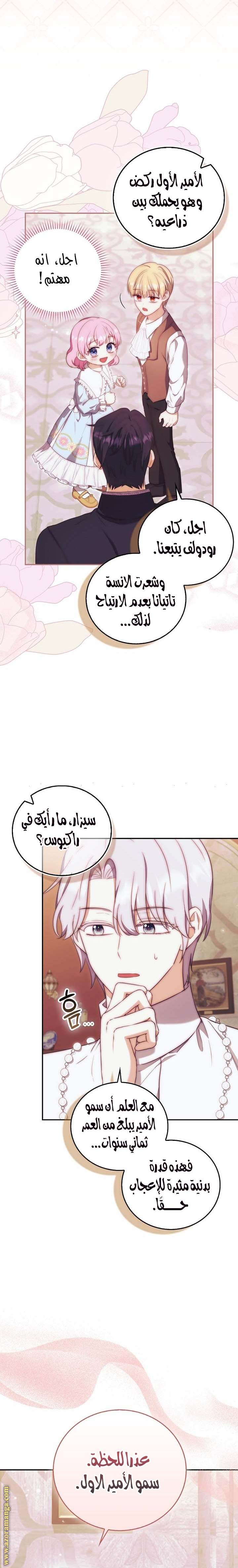 الصفحة 13