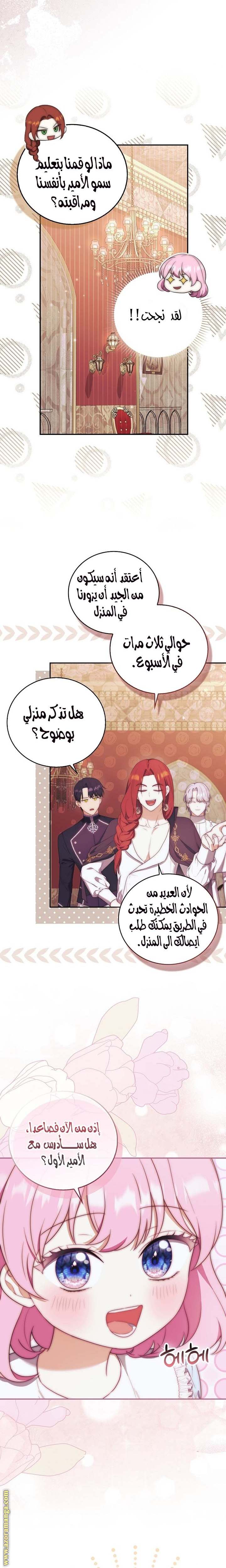 الصفحة 17