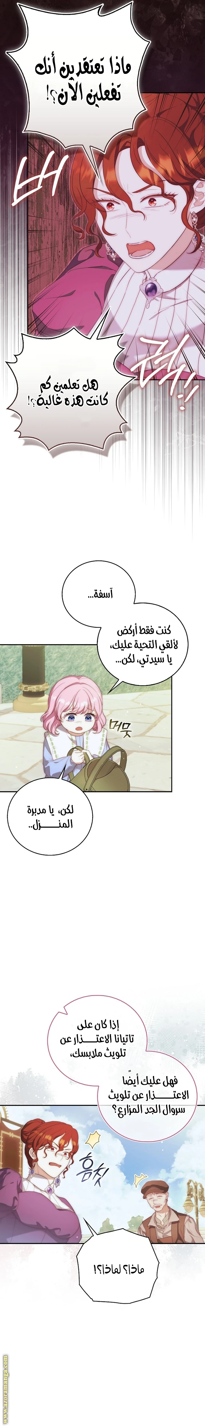 الصفحة 17