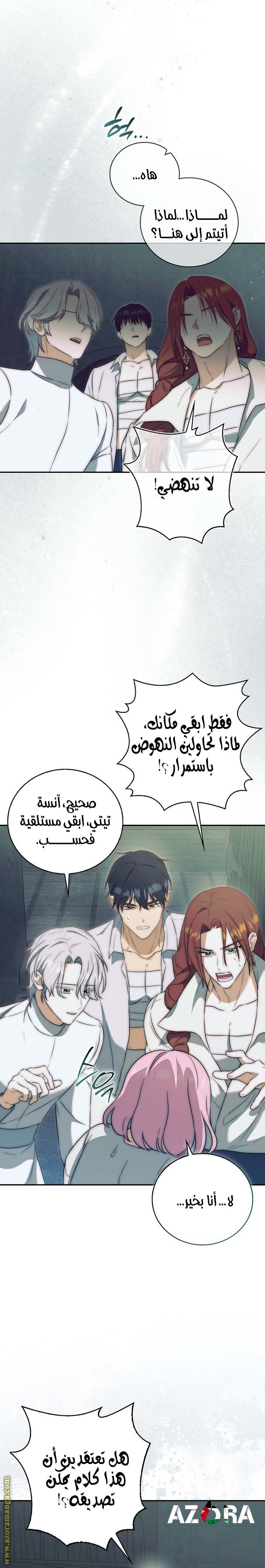 الصفحة 13