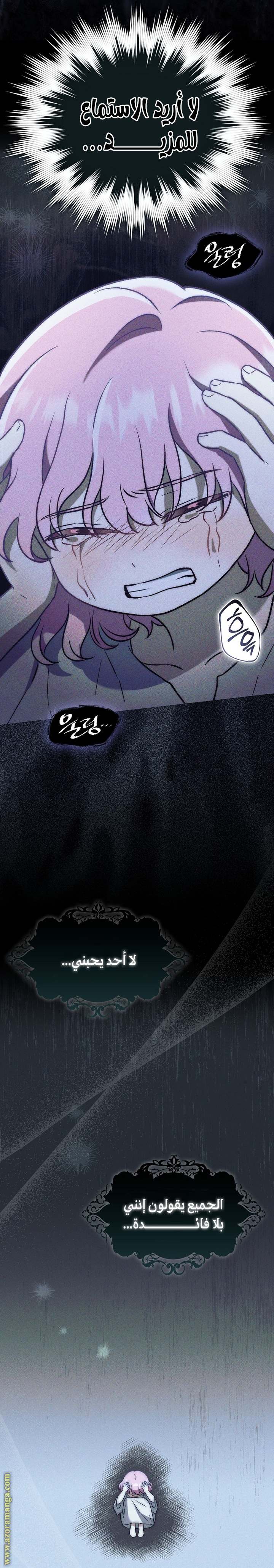 الصفحة 16
