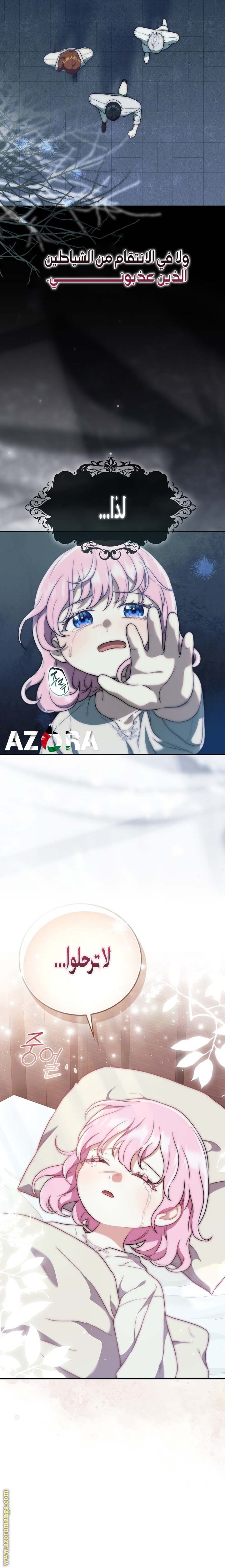 الصفحة 19